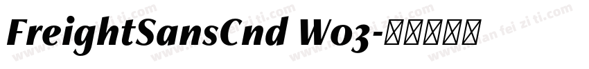 FreightSansCnd W03字体转换